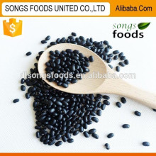 Hot Sale Black kidney beans suppliers in alibaba